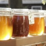 Med, propolis, matična mleč i polen: po čemu se razlikuju