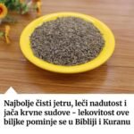 Ulje crnog kima: upotreba, doziranje i mere opreza