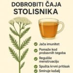 Stolisnik (hajdučka trava): upotreba i mere opreza